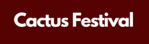 Taxi naar Cactus Festival