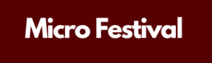 Taxi naar Micro Festival
