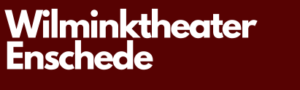 Taxi naar Wilminktheater Enschede
